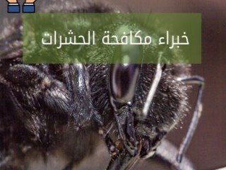 مكافحة حشرات بالقطيف والمنطقة الشرقية,0509599688,خصم 30%